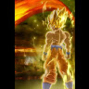 Meet your Posher, Andre